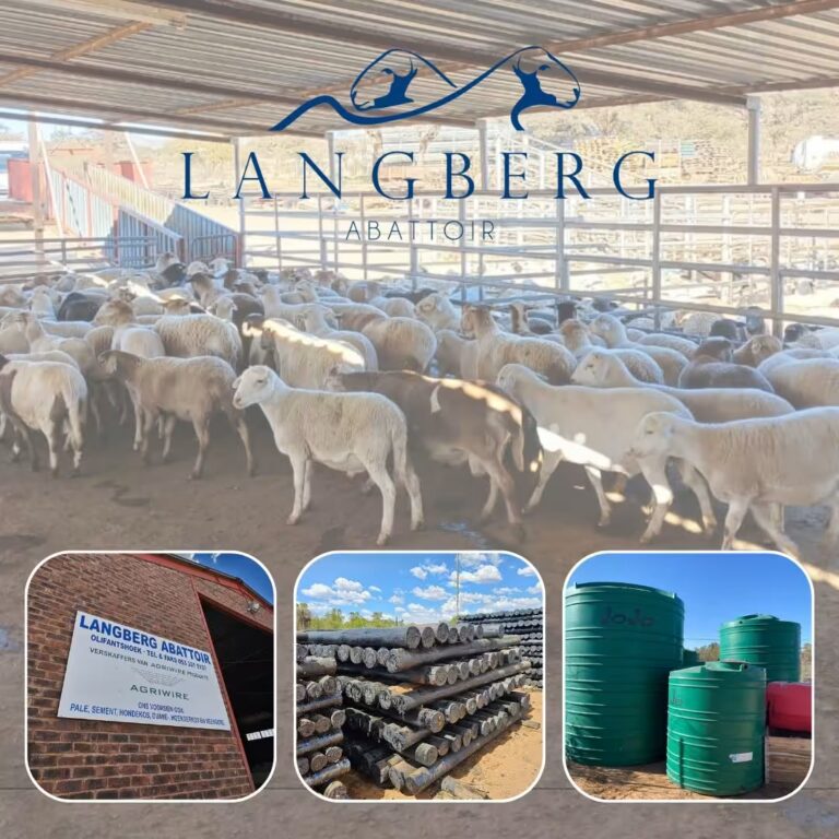 Langberg Abattoir in Olifantshoek
