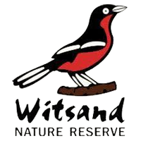 Witsand Nature Reserve near Olifantshoek